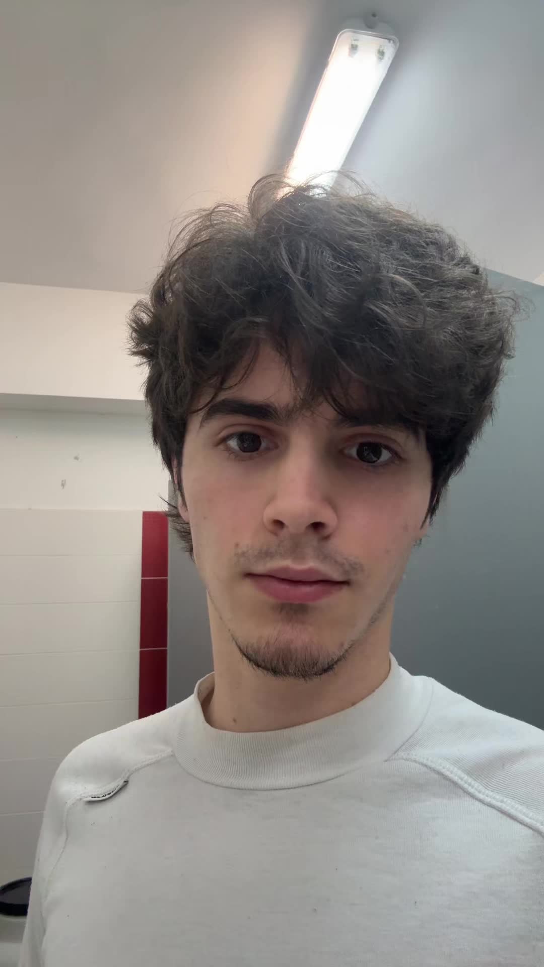 @camerashy