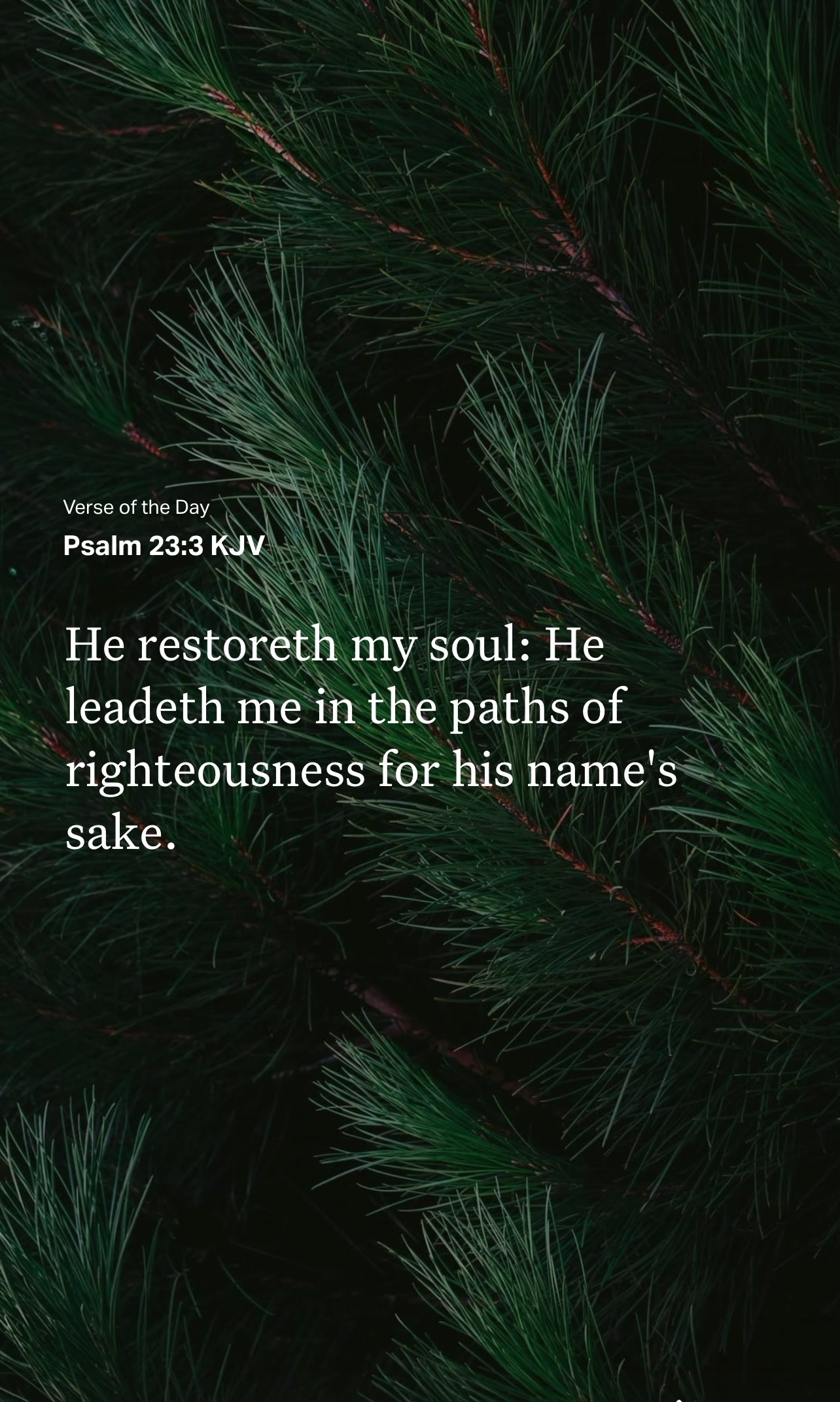 @VoiceOfScripture