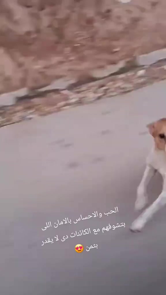 @Dr MAGDY💫🩺