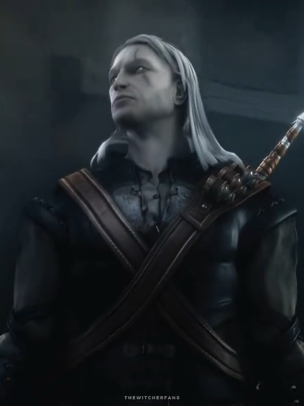 @The Witcher