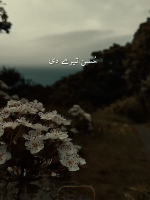 @𝗜𝗱𝗲𝗮𝗹 𝗔𝗱𝘀 𝟮.𝟬