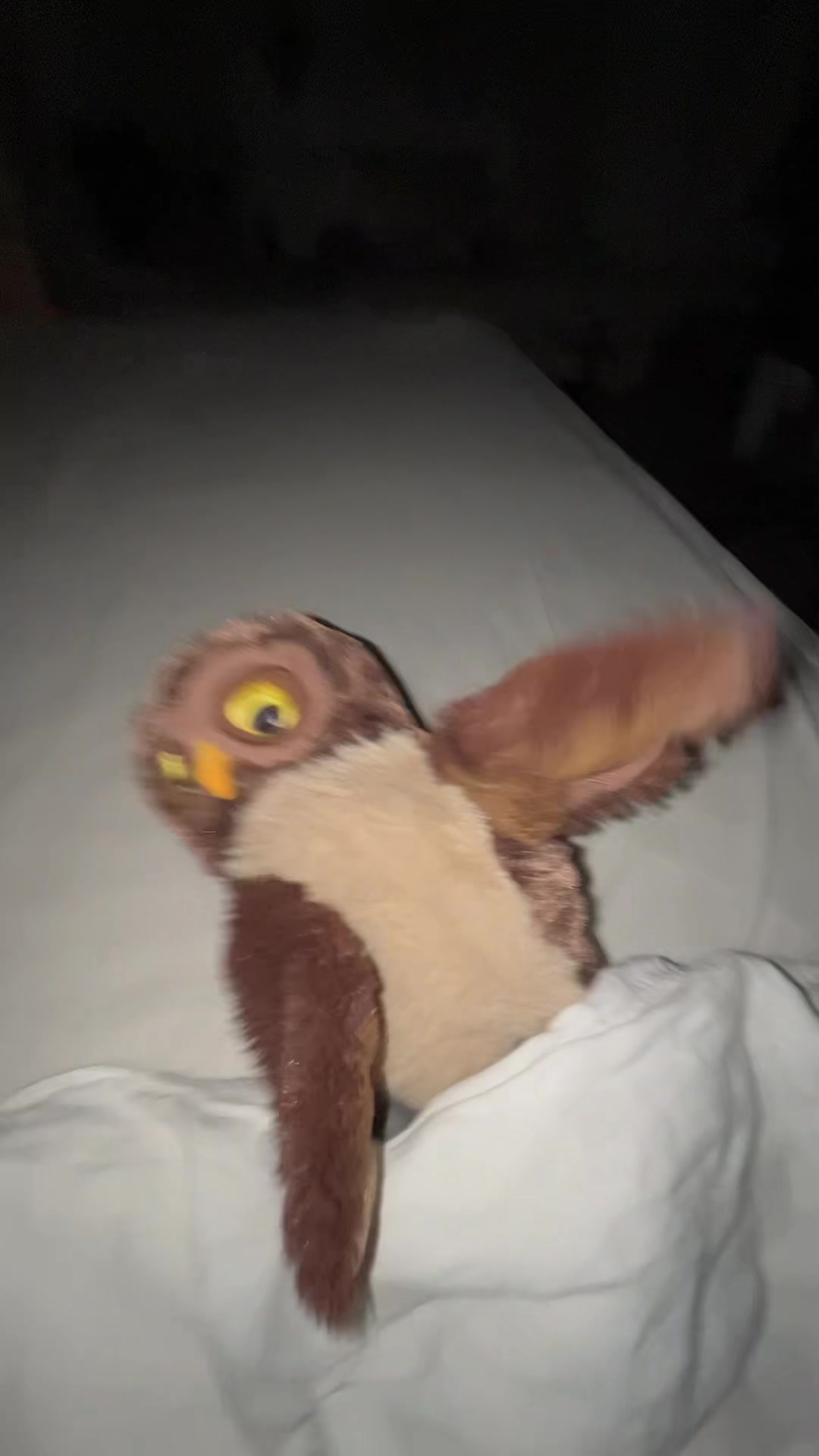 @🦉✨ Eule✨m✨🦉