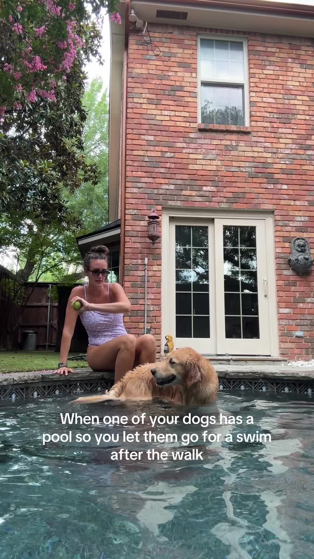 @dallasdogwalker