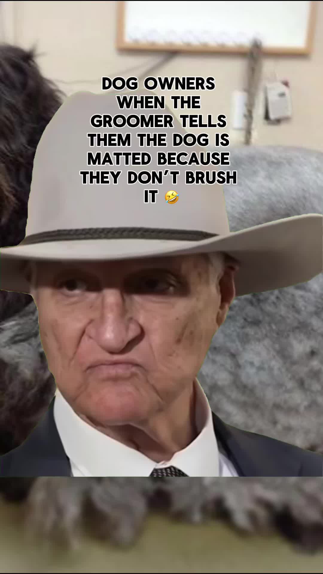 @Shampooches