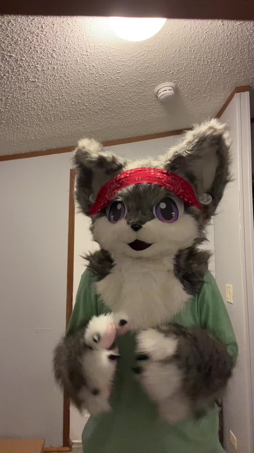 @karai_WolfDragon23