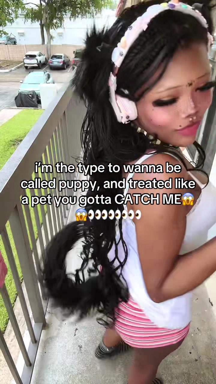 @elapup🐾🦴