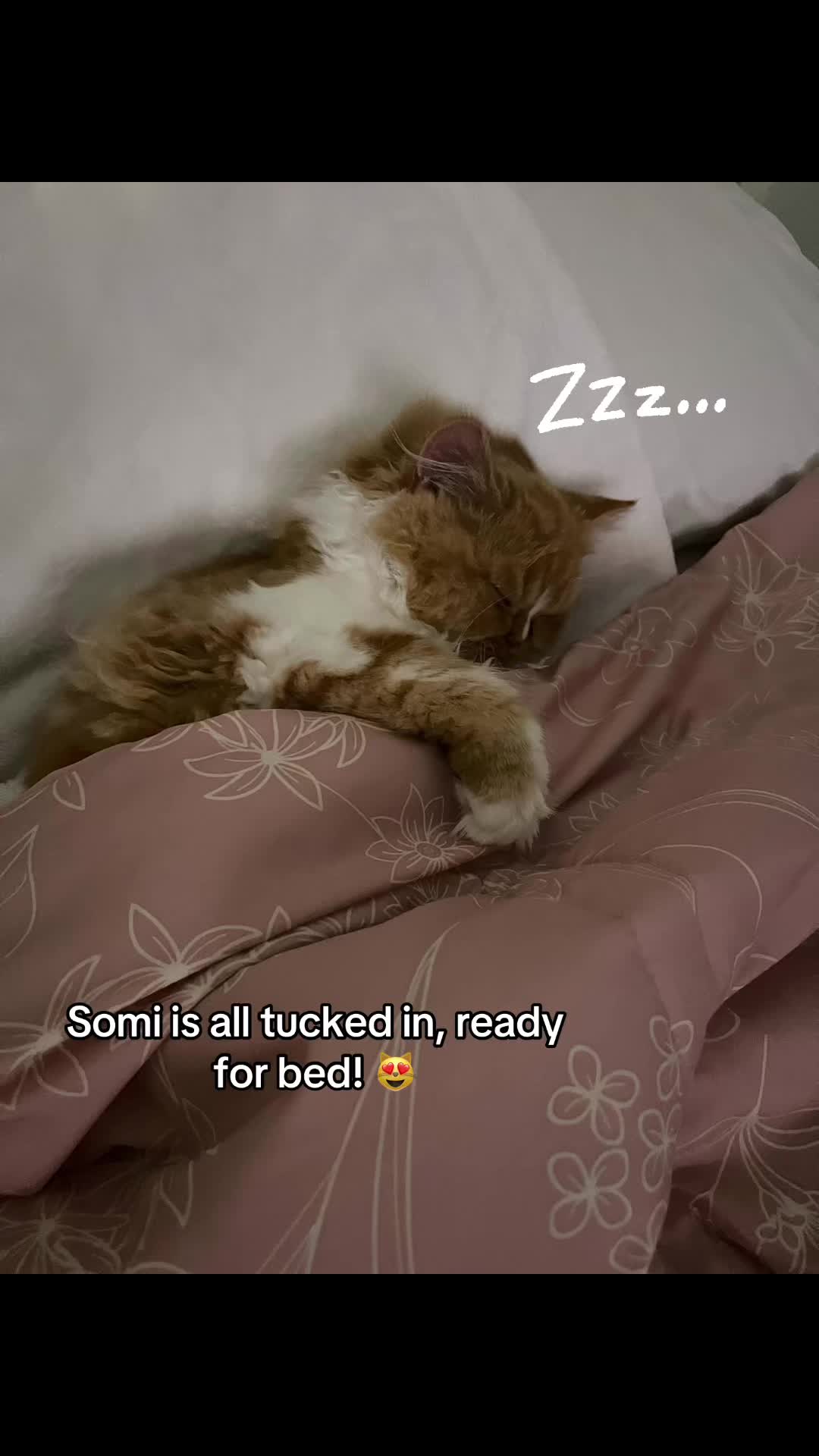 @somithepersian