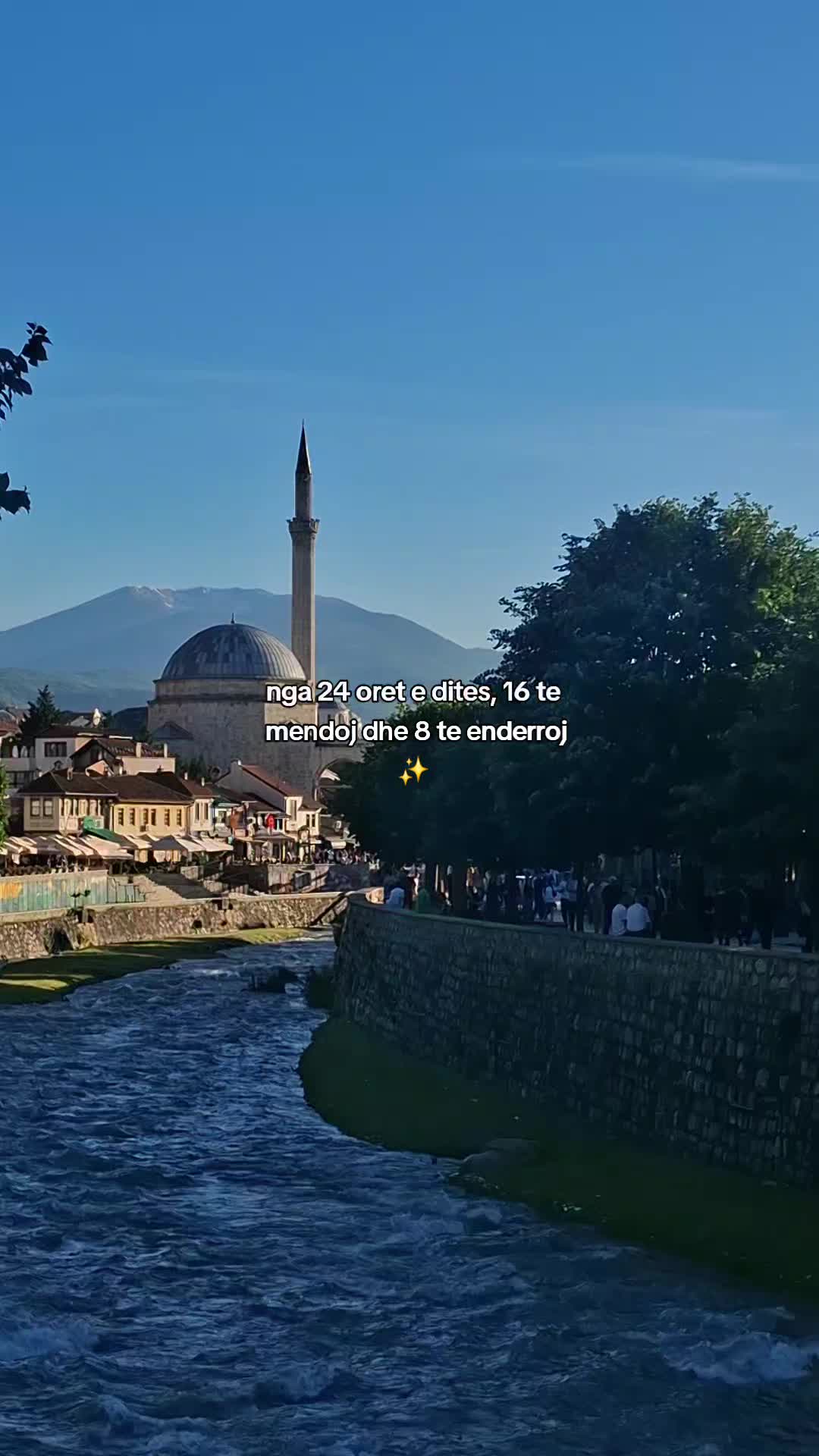 @ermaaly