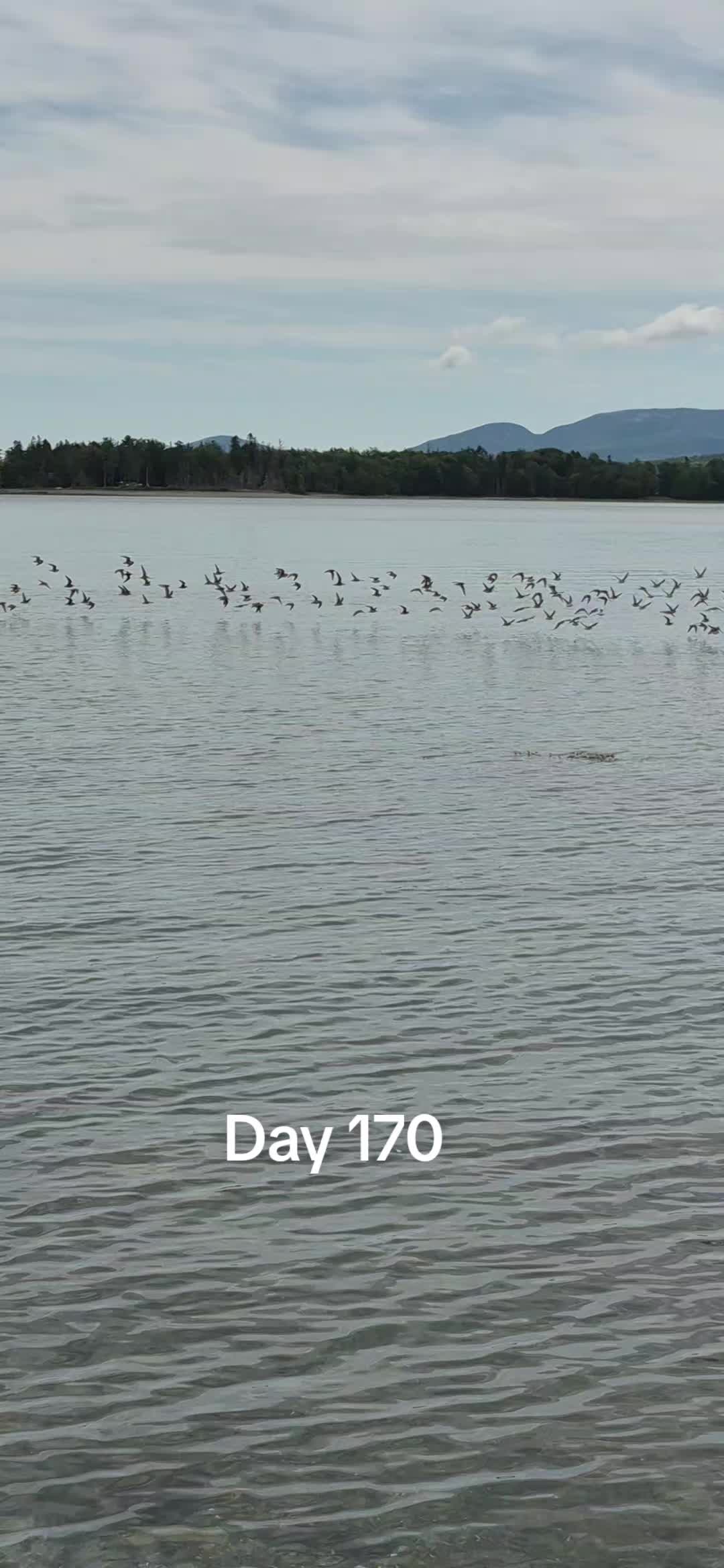 @EveninAcadia