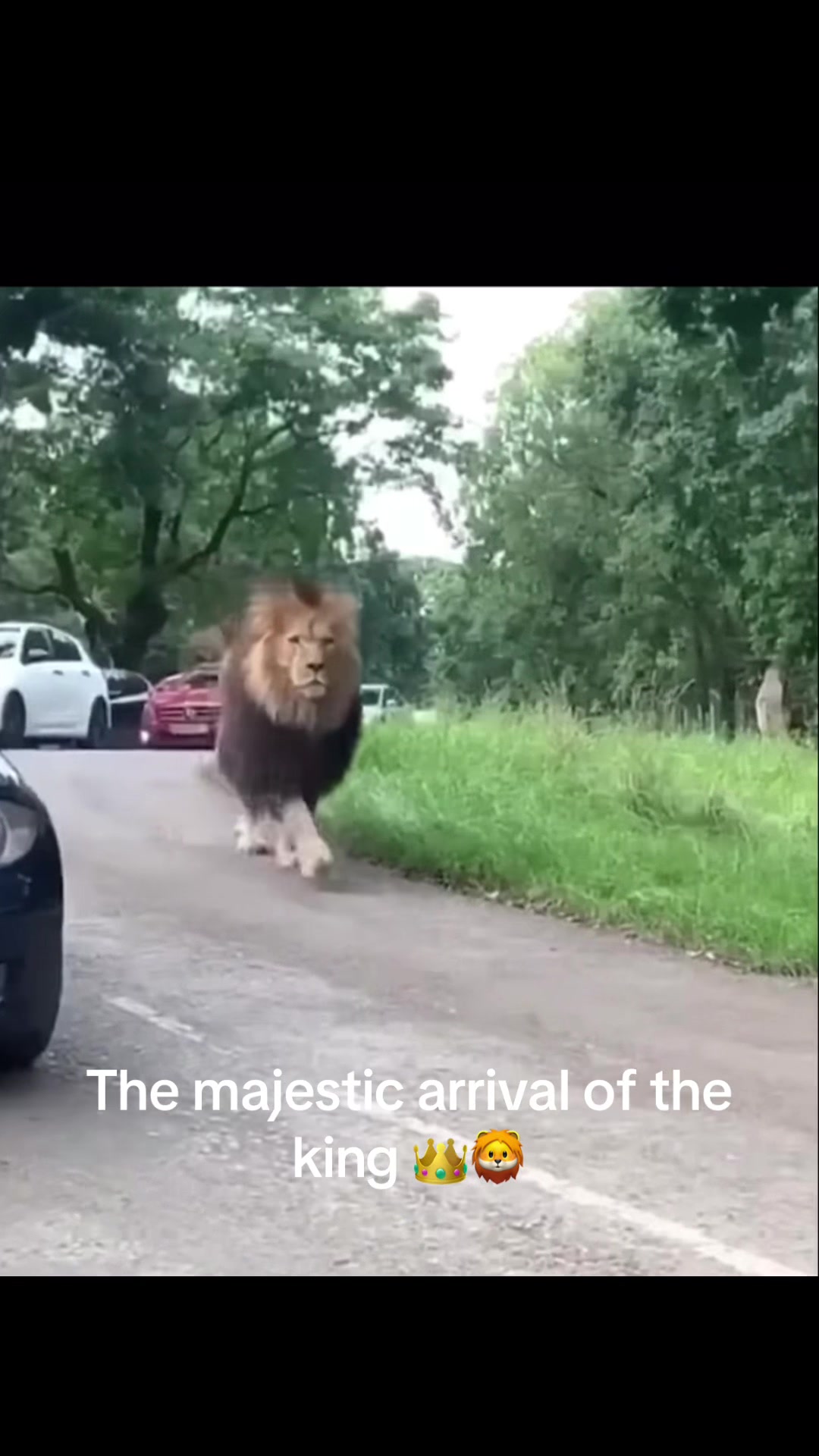 @Nature.best