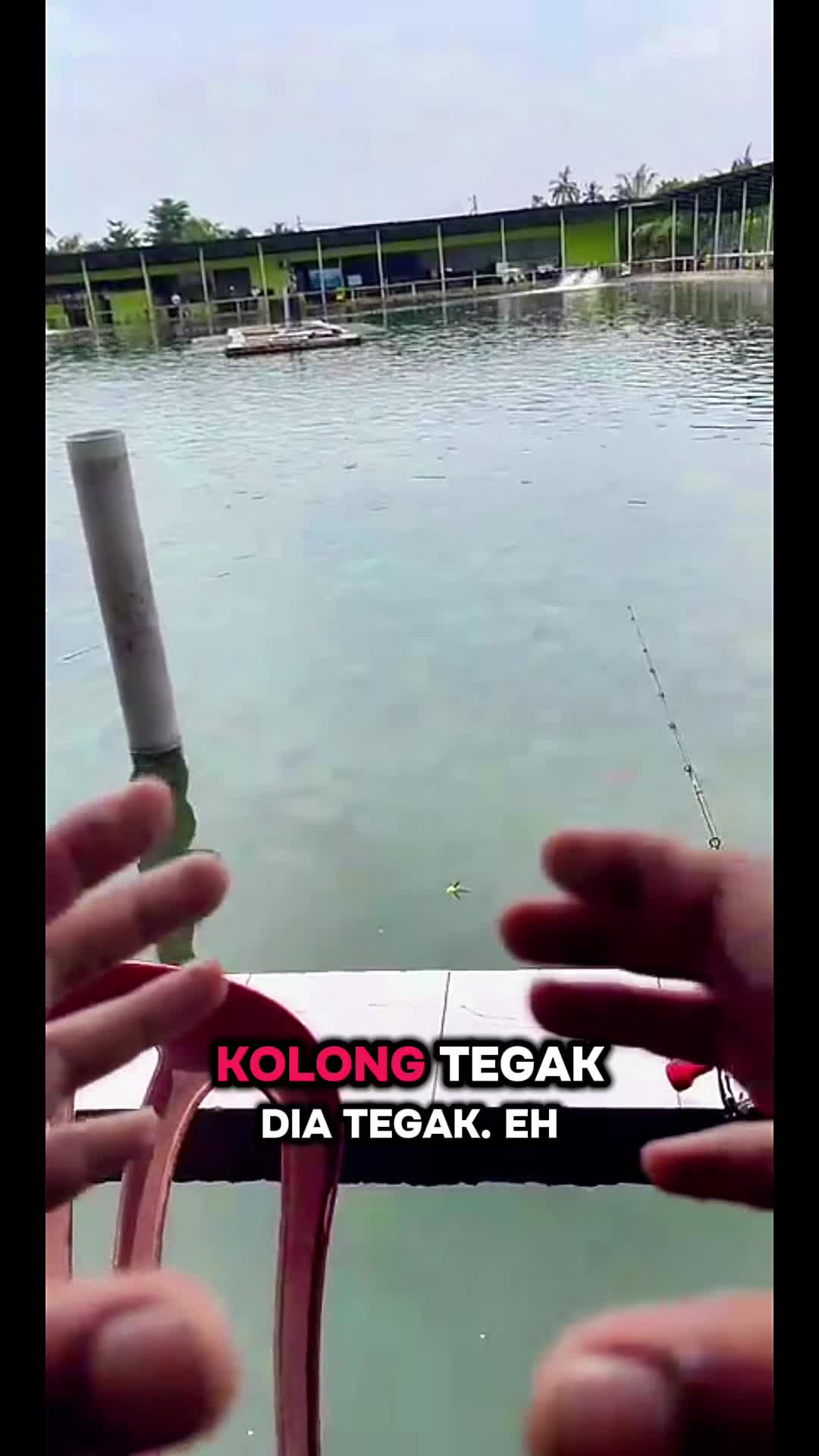 @M Z Reel 🎣