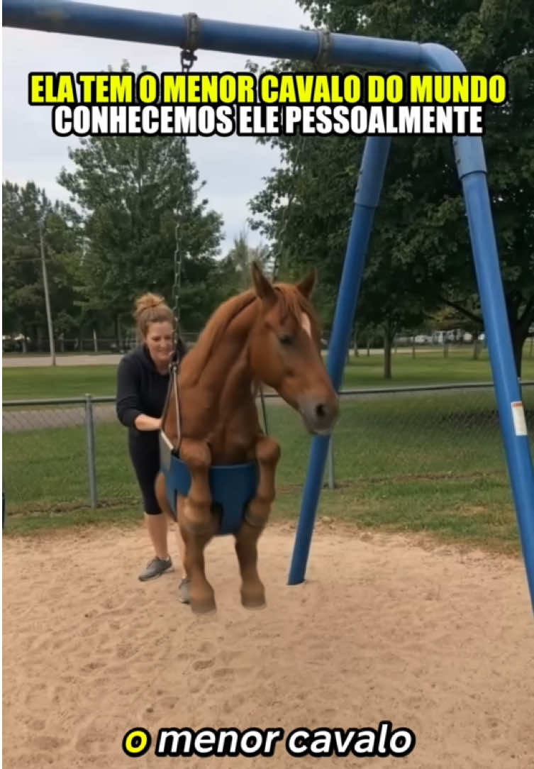 @felpzoficial