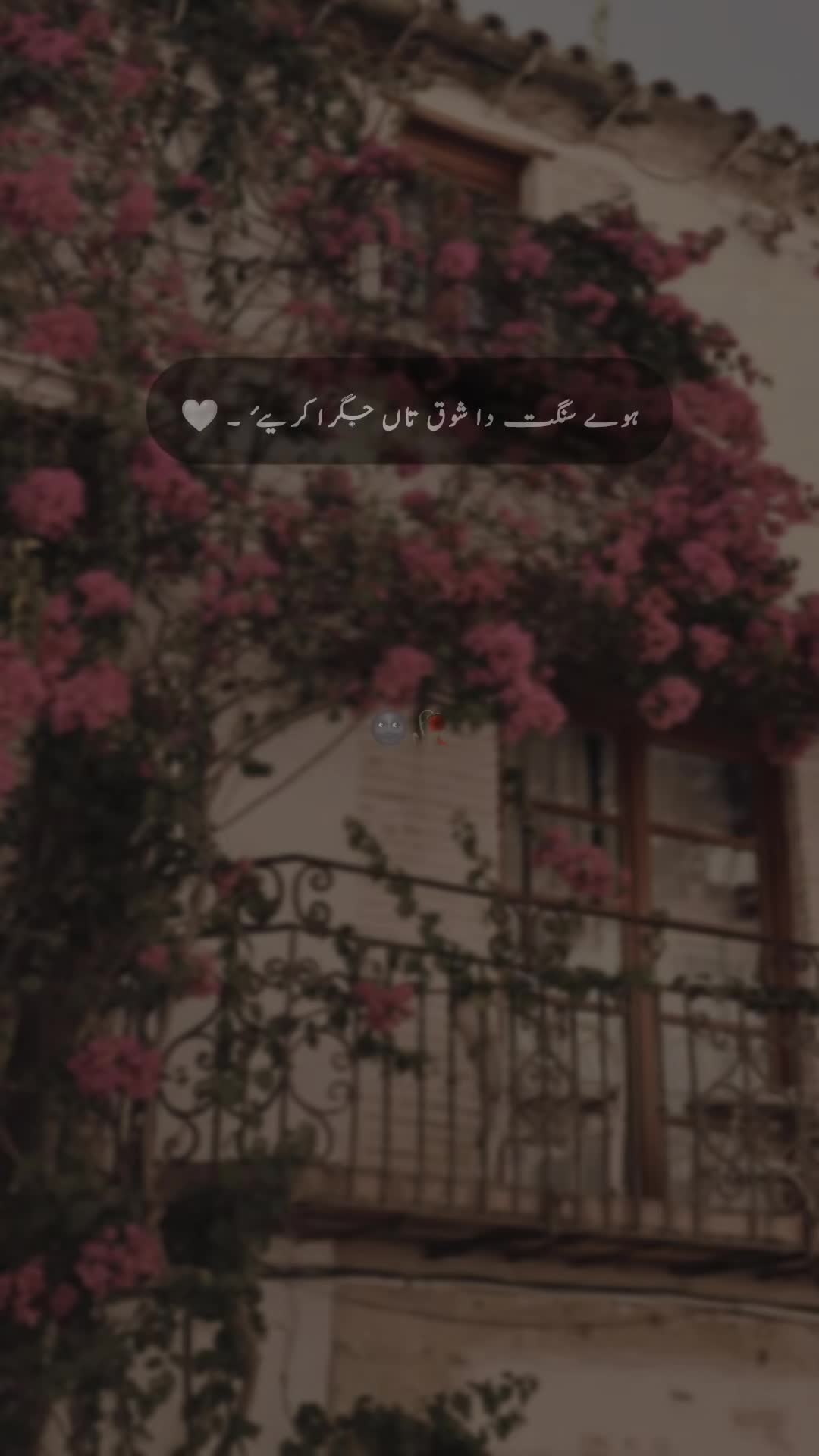 @𝐒 𝐚 𝐌 𝐢 🍂🫀