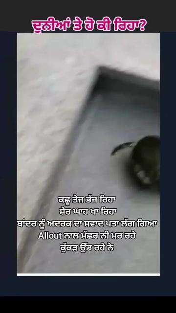 @Jot1997