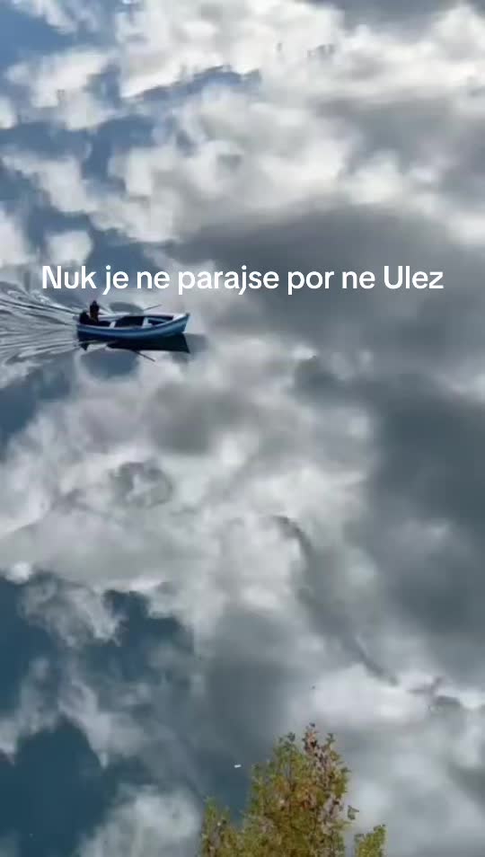 @lorihoxha