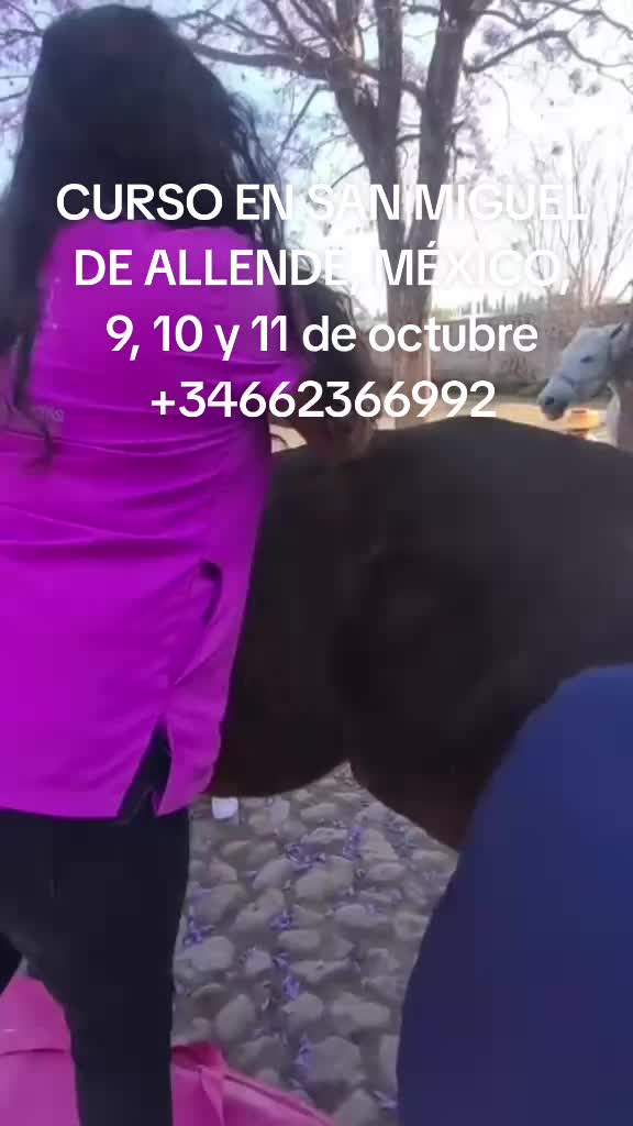 @centrointegralchakra