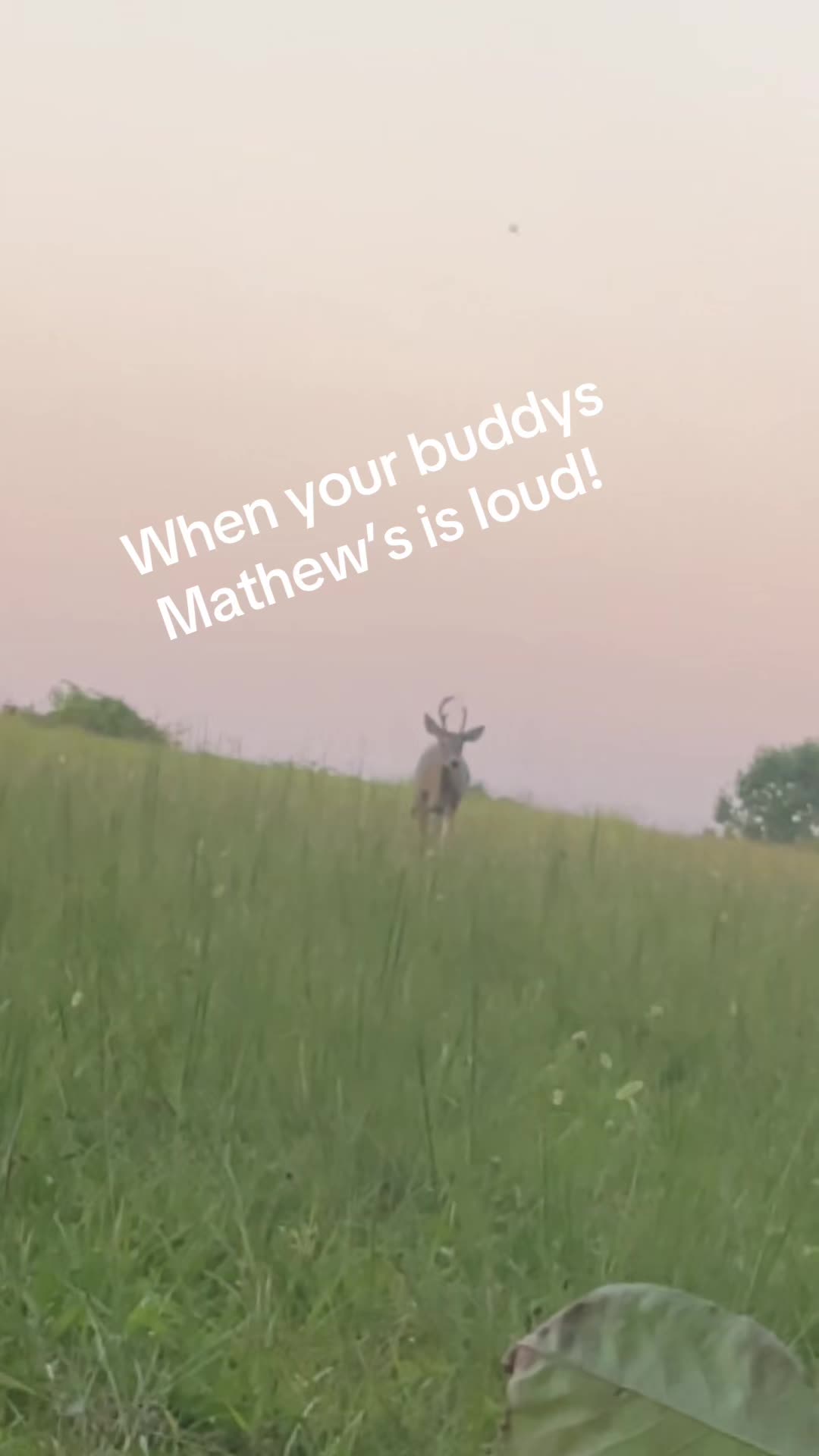 @ThatGuy1776