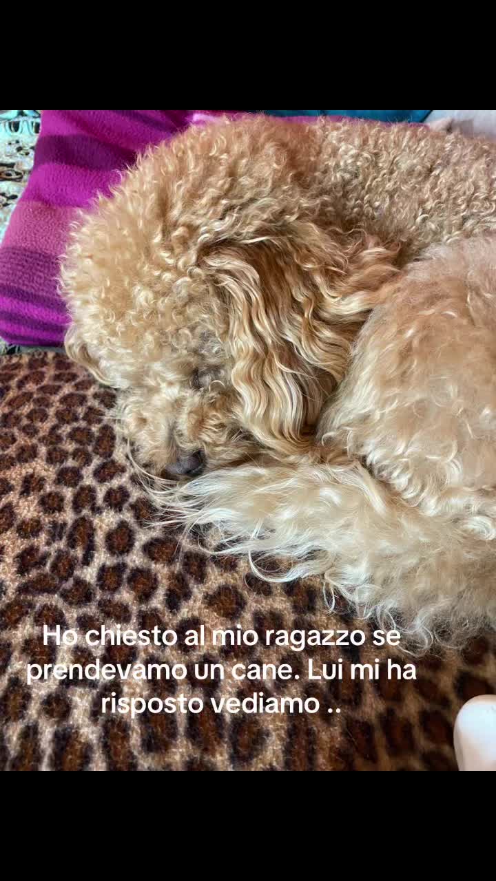 @_.jasminap._