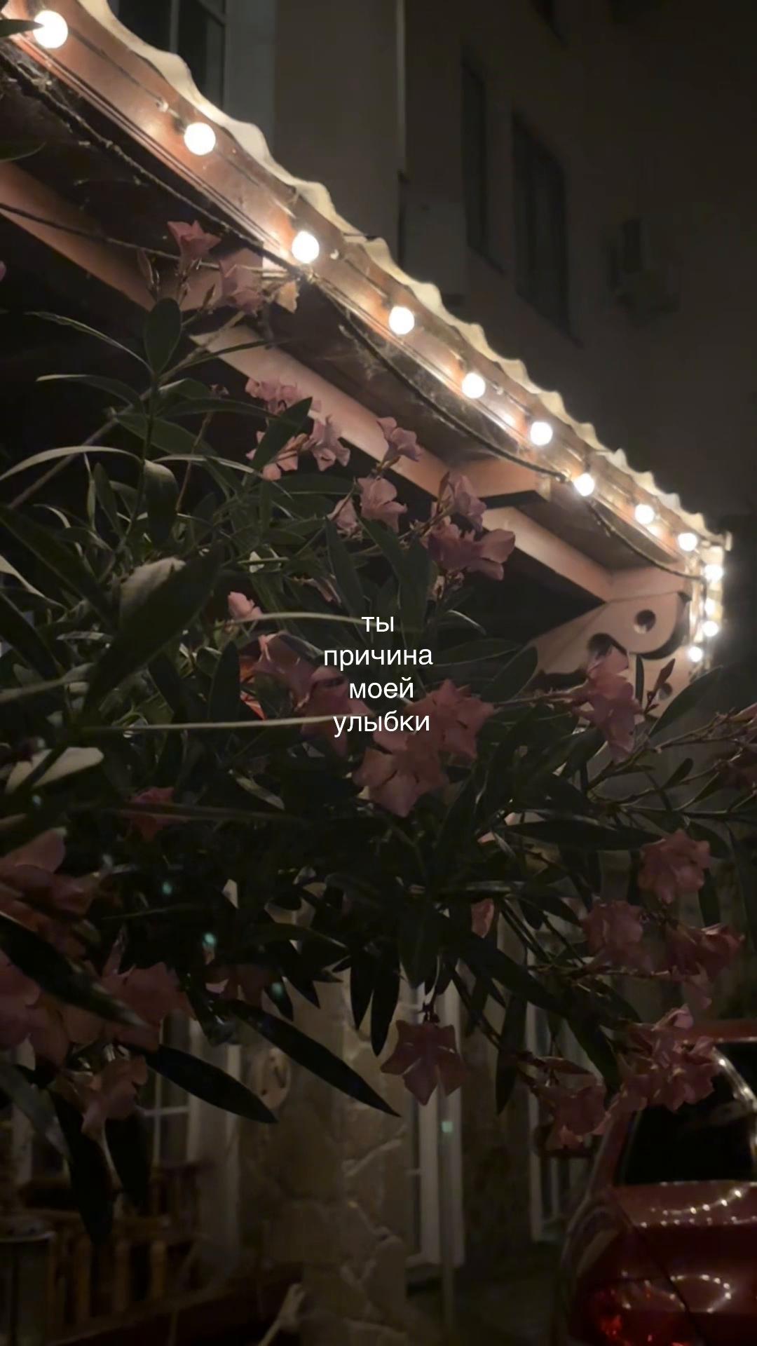 @karolisha🪽