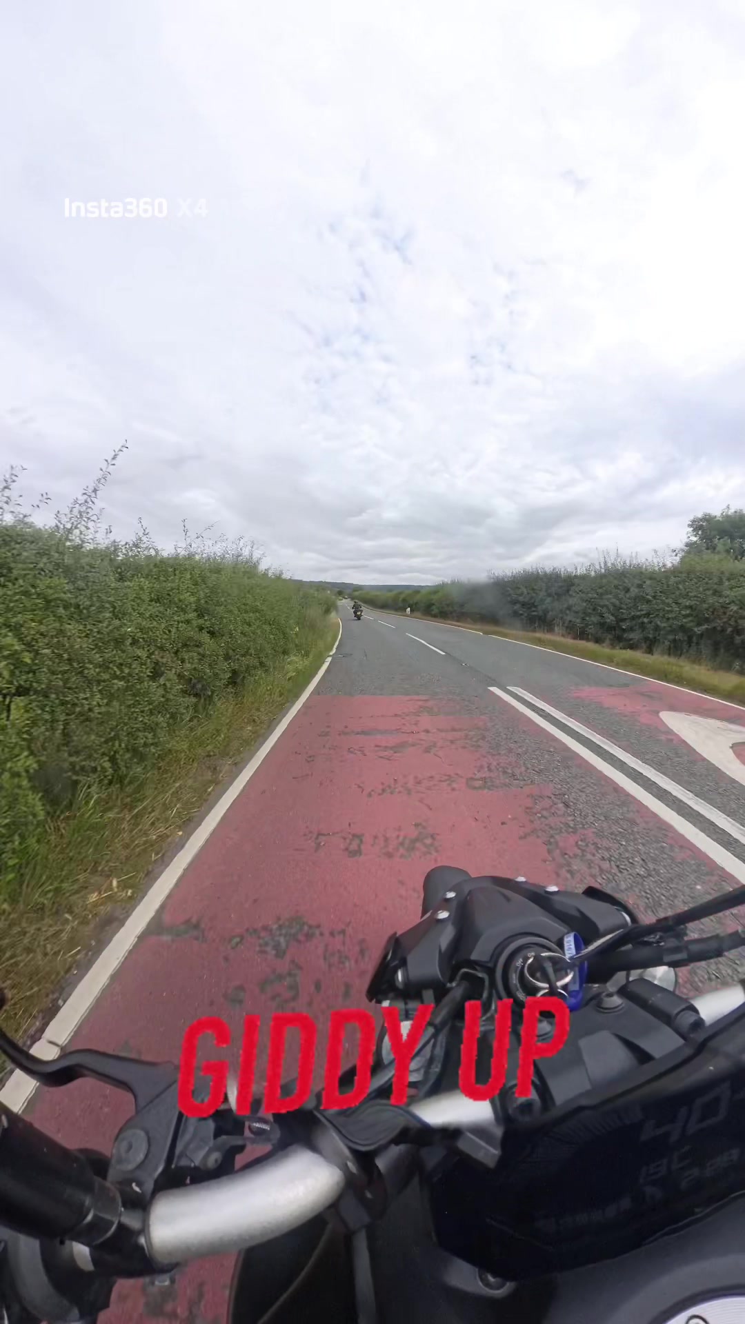 @Lashes