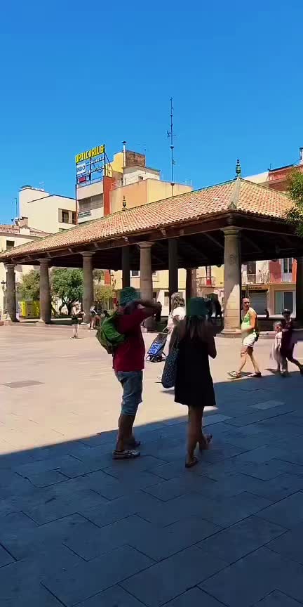 @Jmvcamtiktok