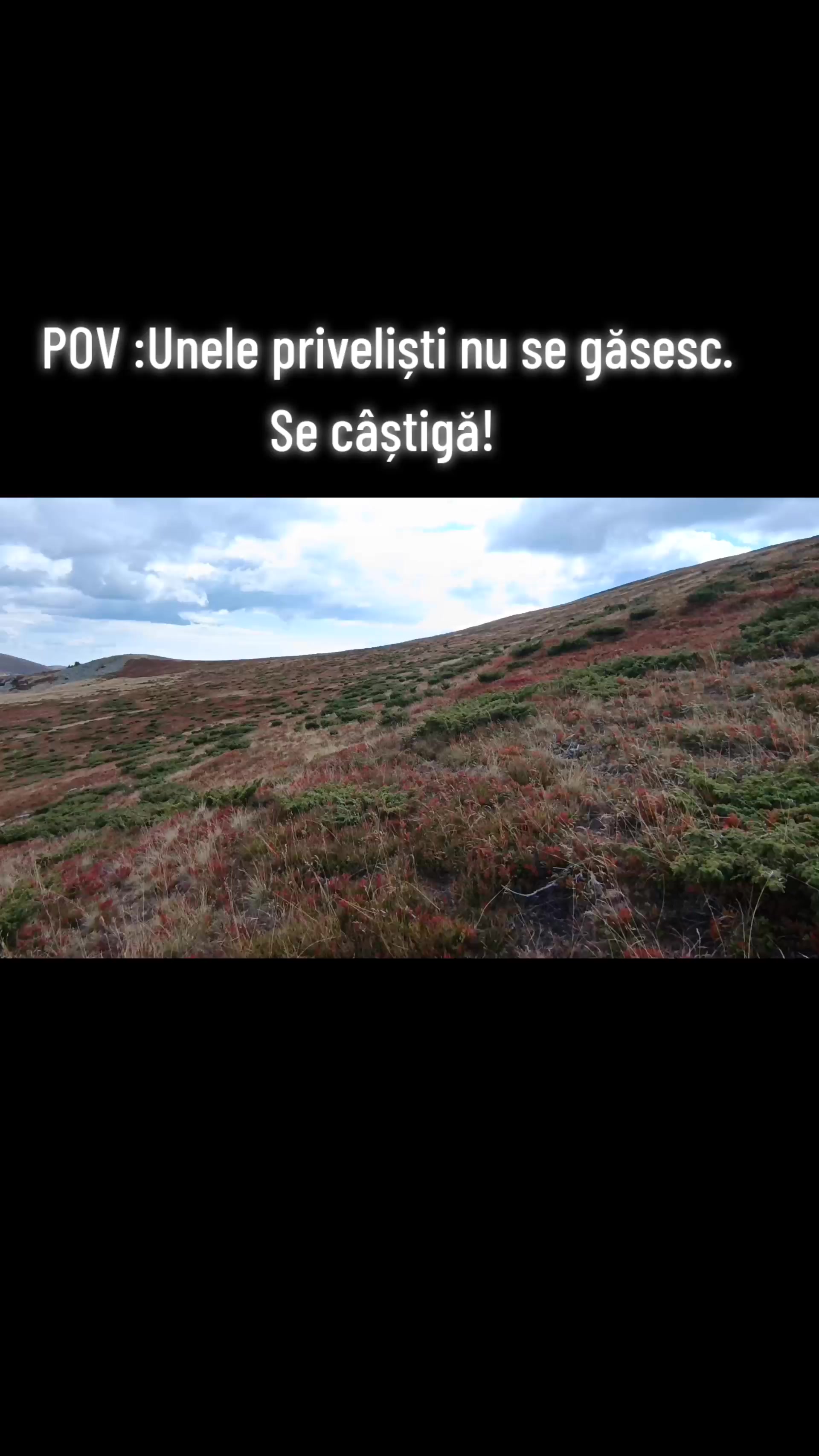 @cristicristianonc