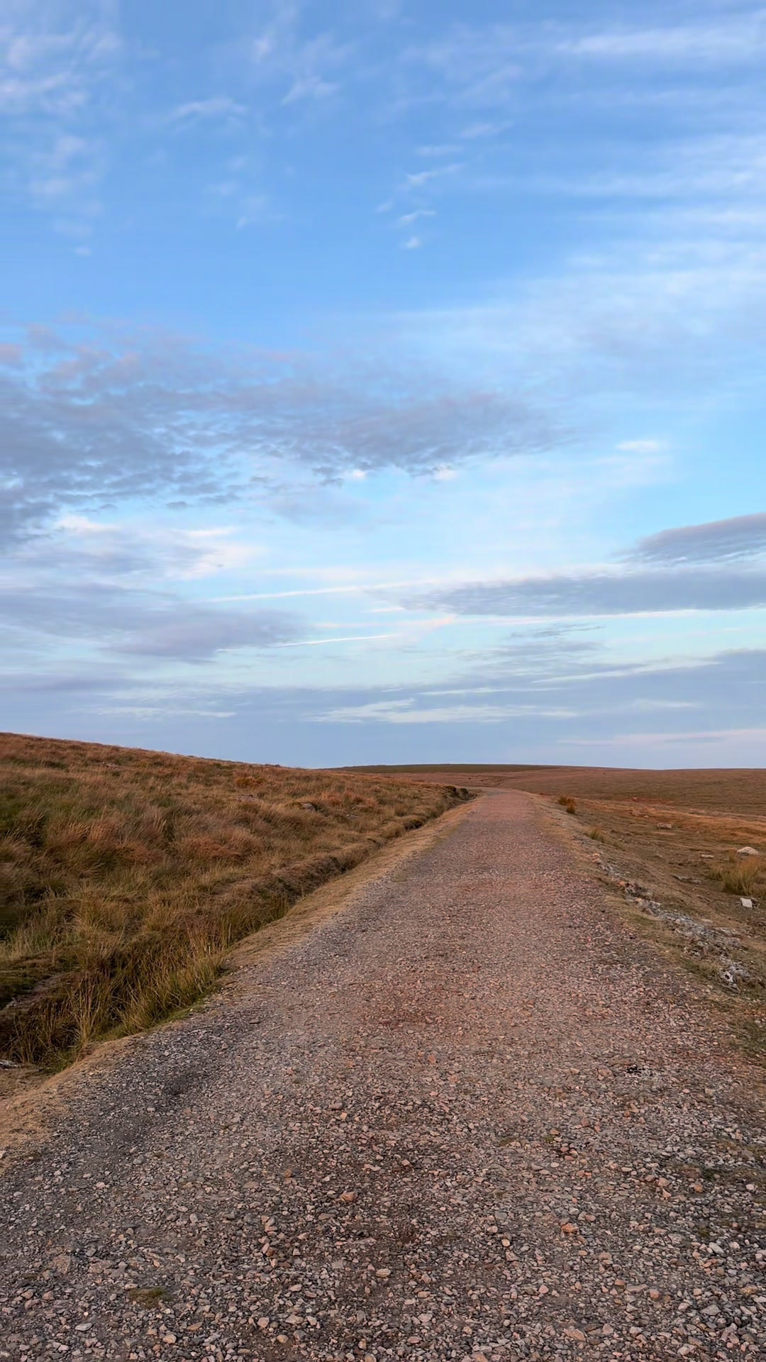 @Dartmoor Carriages