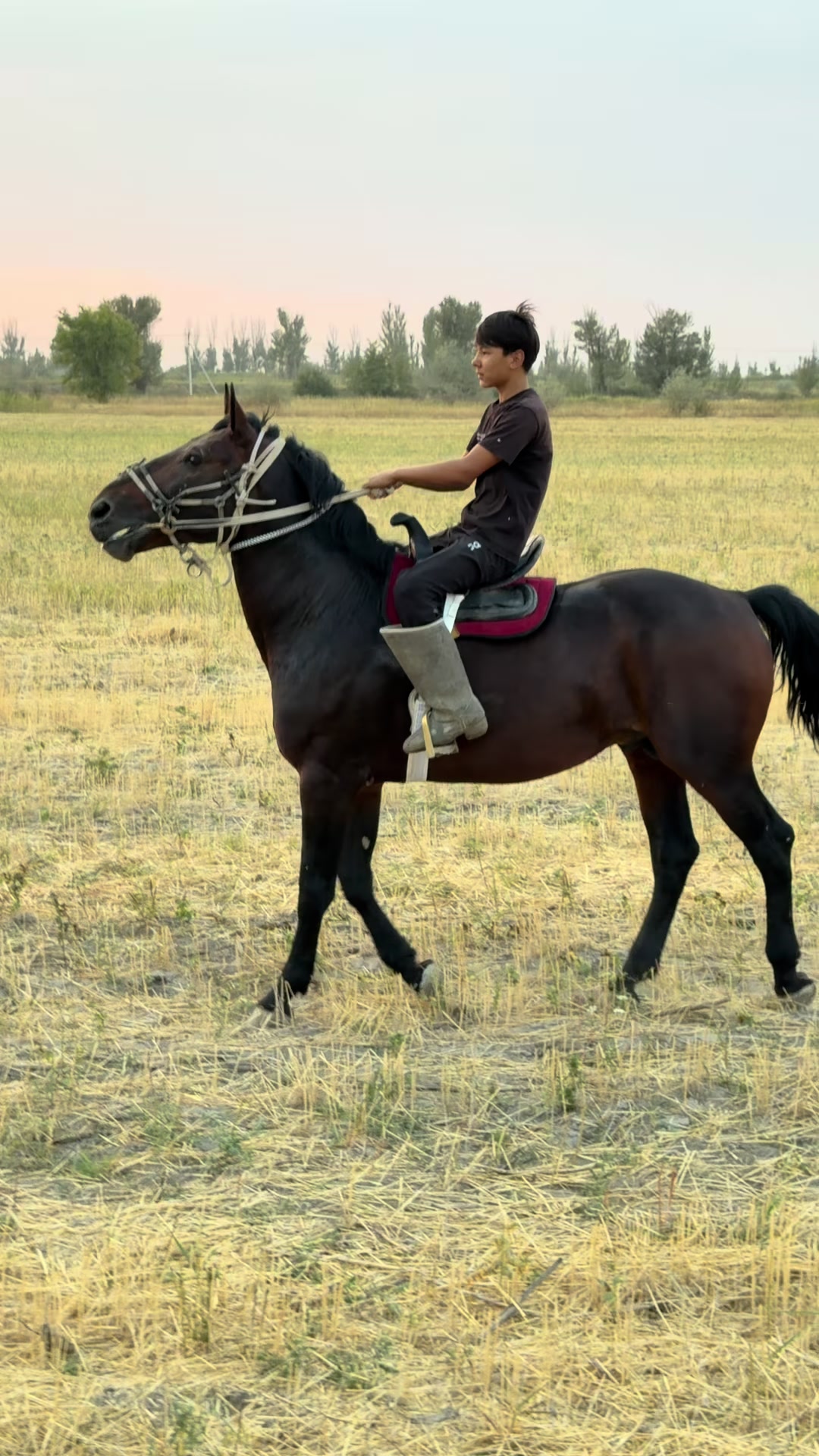 @Олжас Ошакты
