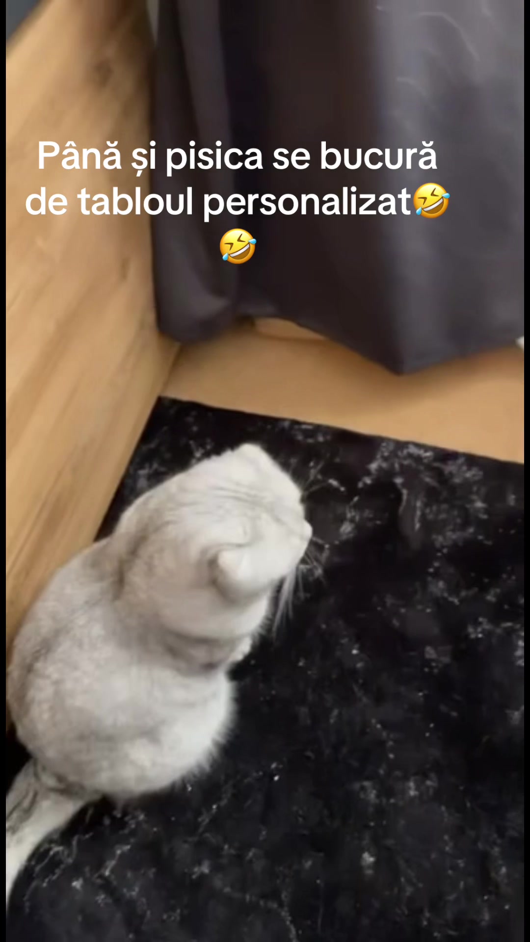 @Anda Luca