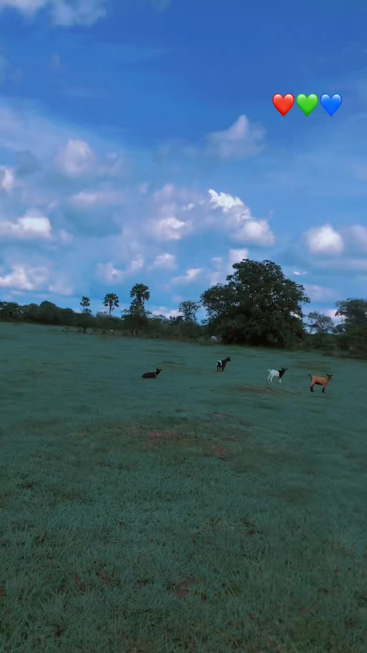 @Ÿäöü Ÿämäl 237 🇨🇲
