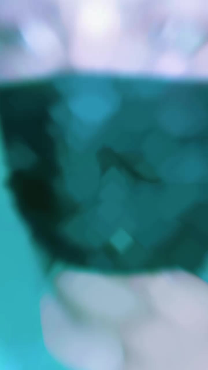 @prveen