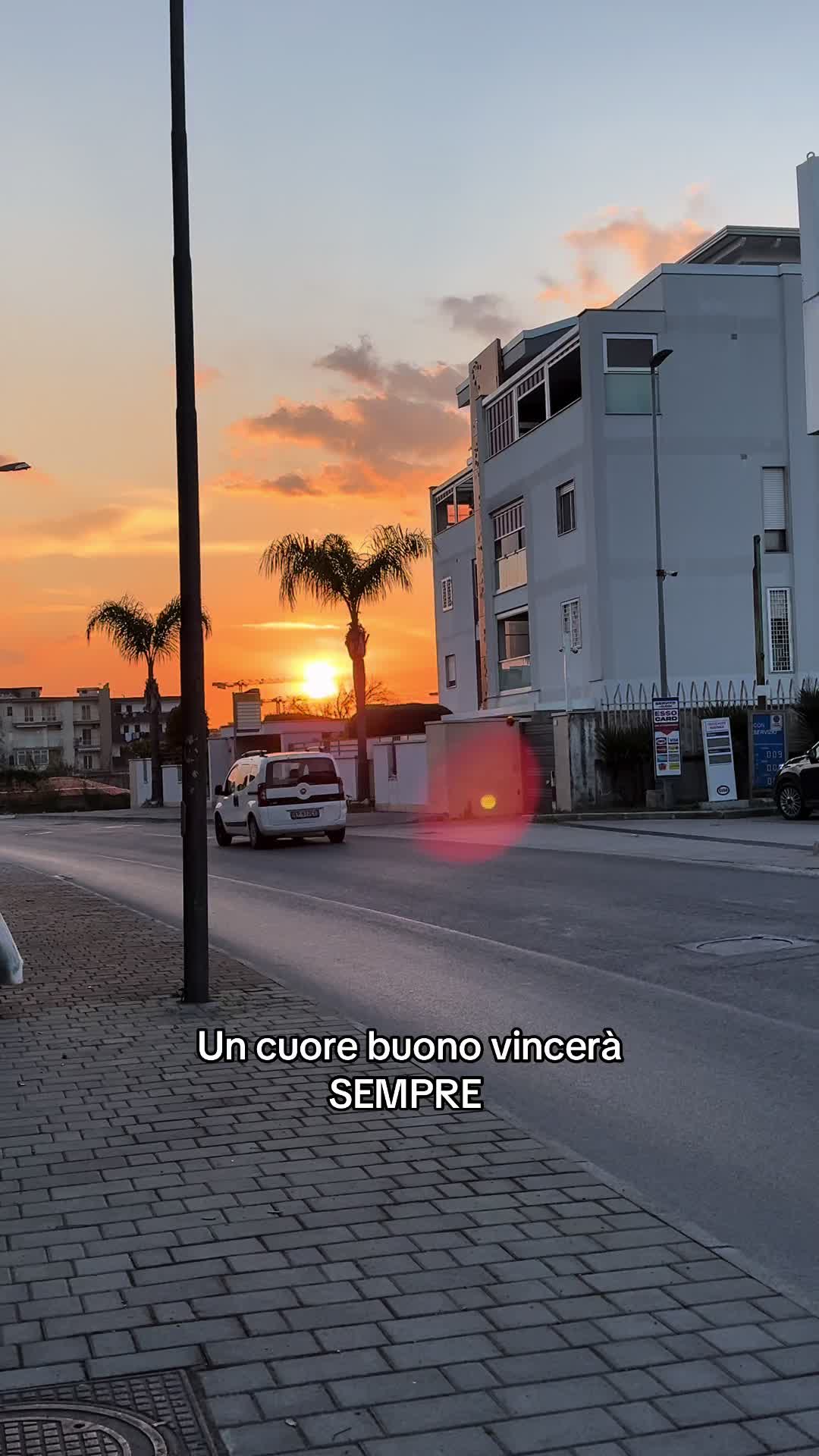 @Viviana Cozzuto