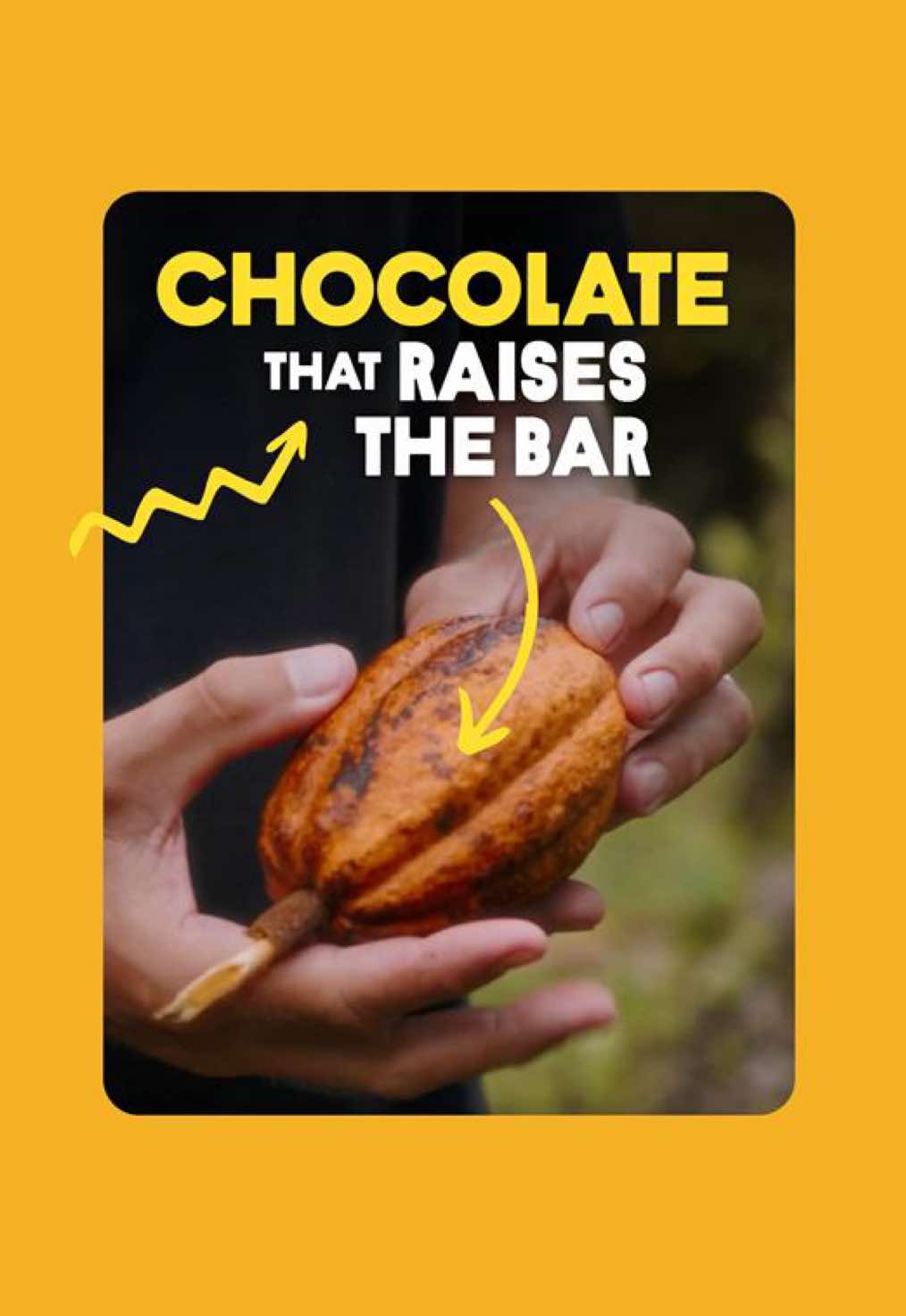 @The Rainforest Alliance
