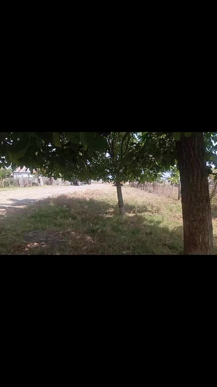 @Venera