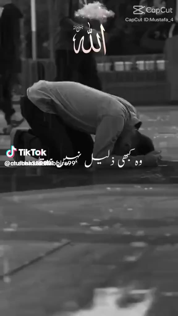 @Nazak shah 03135102868