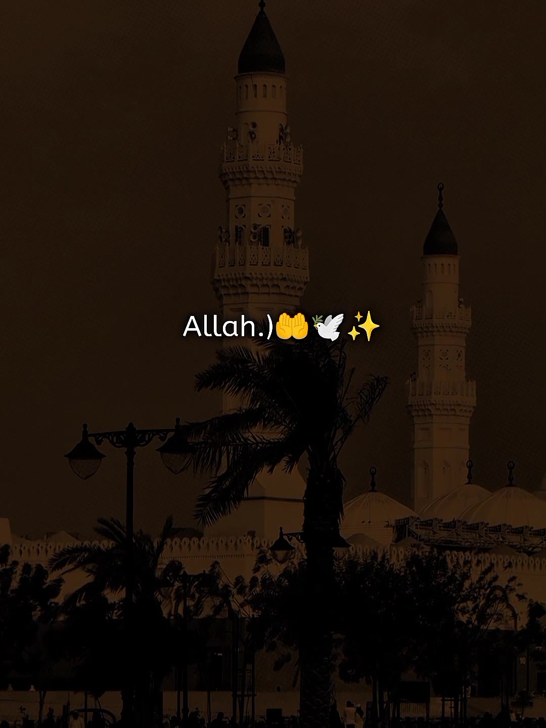 @𝐈𝐧𝐬𝐚𝐟_انصاف
