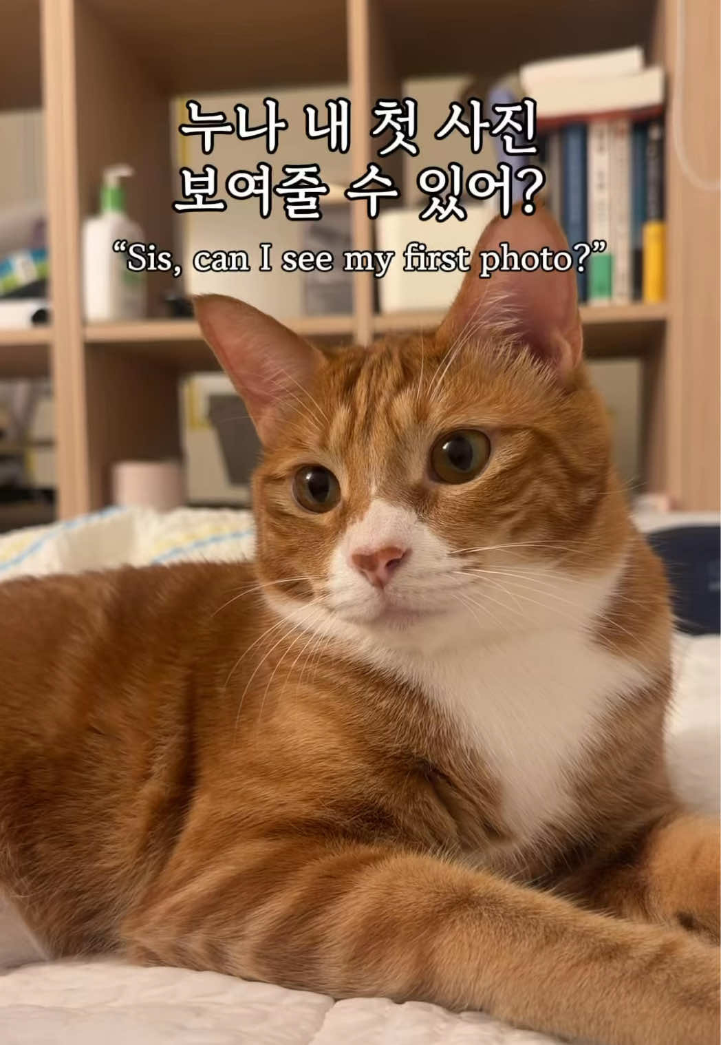 @뮤춘삼