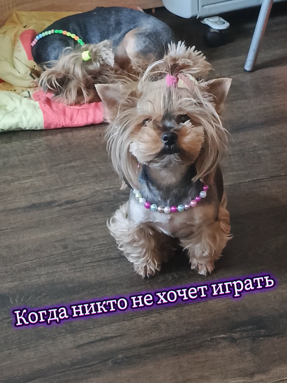 @Соня и Бетти ❤️