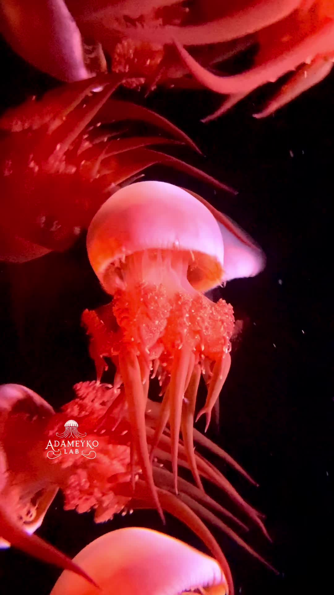 @The_story_of_a_biologist