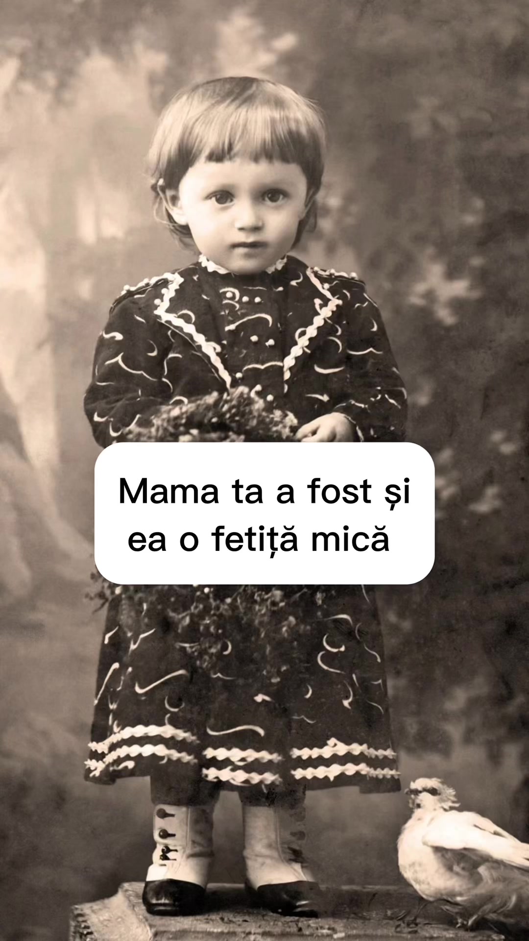 @Academia De ParentingConștient
