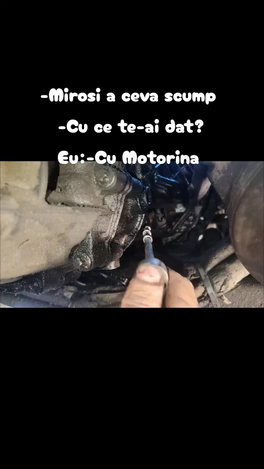@Andrei Dorin