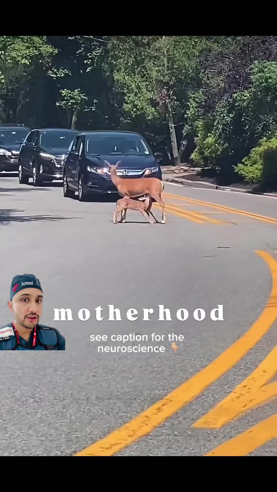 @Braindoc