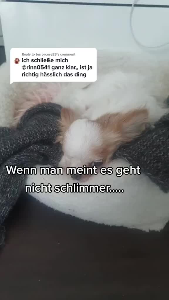 @E.m.m.a 🐶 ❤️