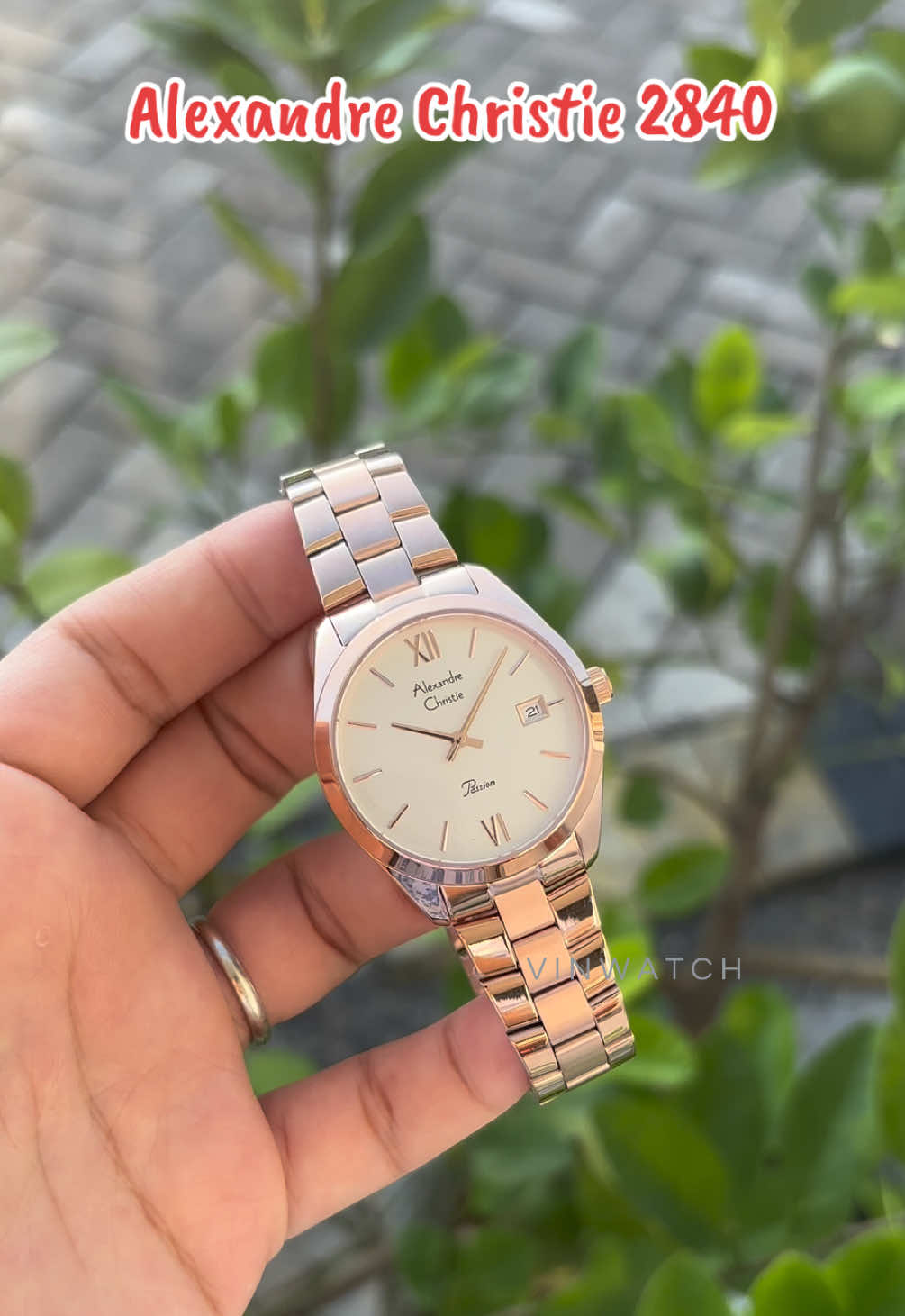 @vinwatch