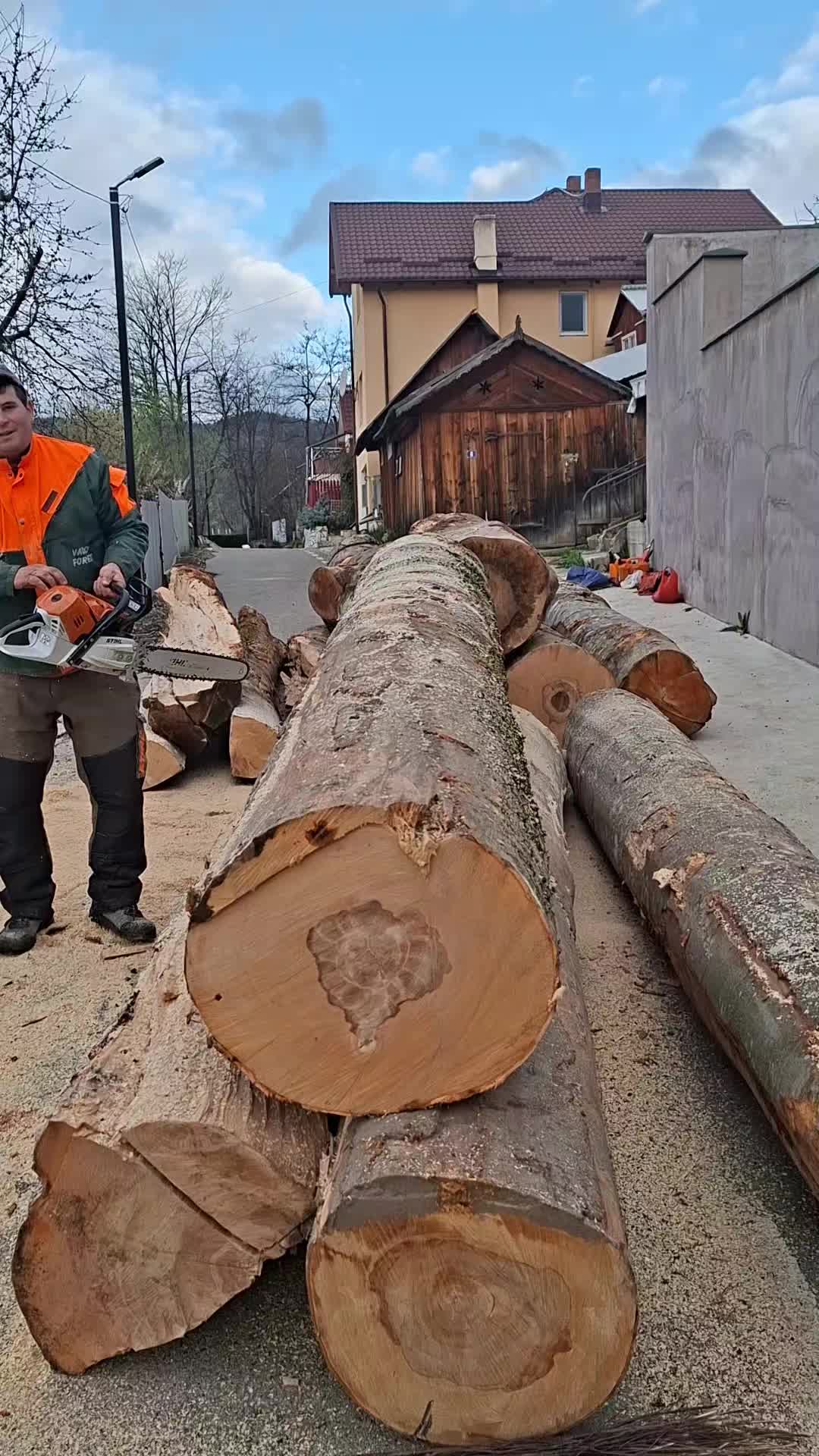 @Andrei Usturoi640
