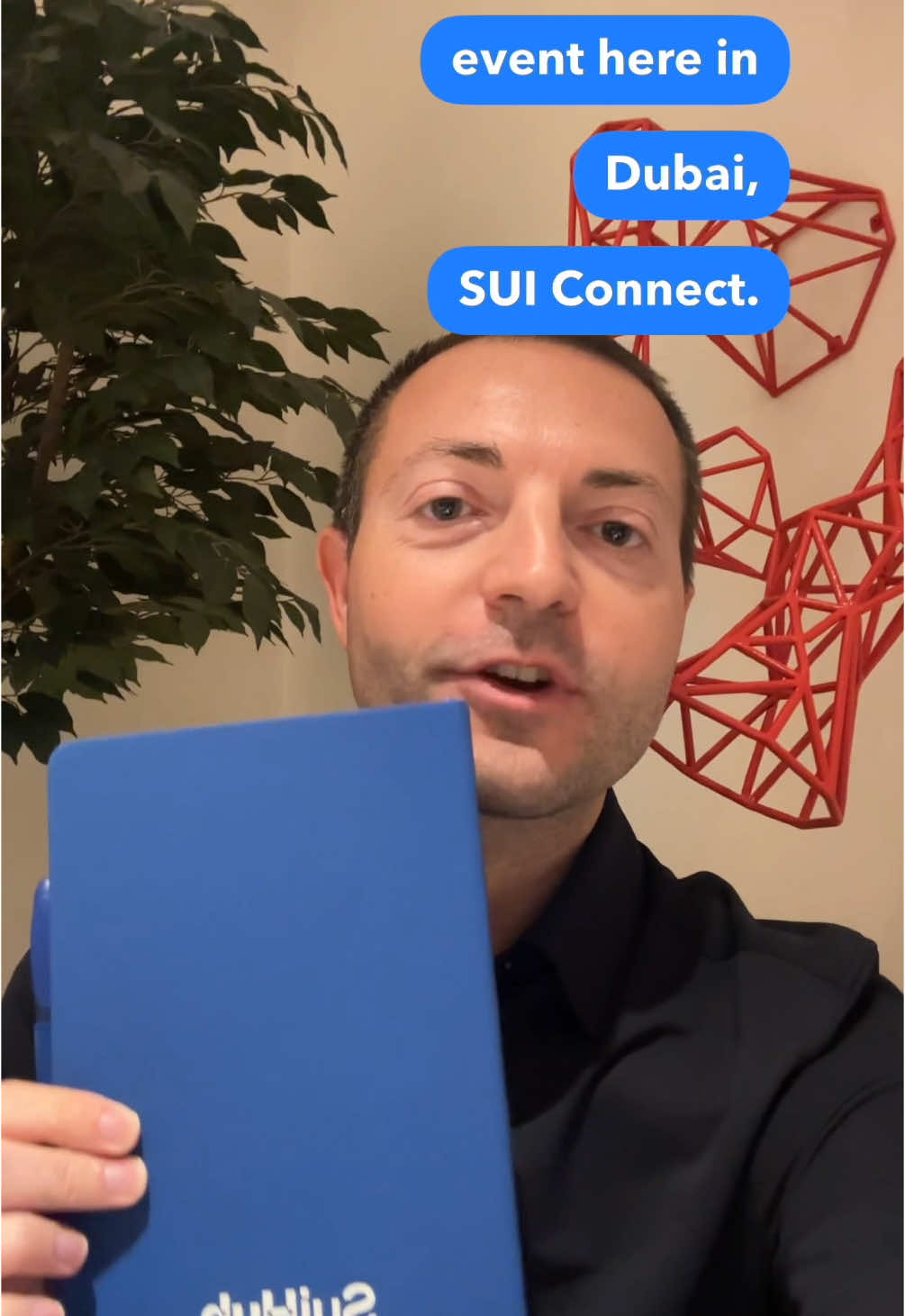 @Vincenzo Stefanini 🇬🇧 🇺🇸