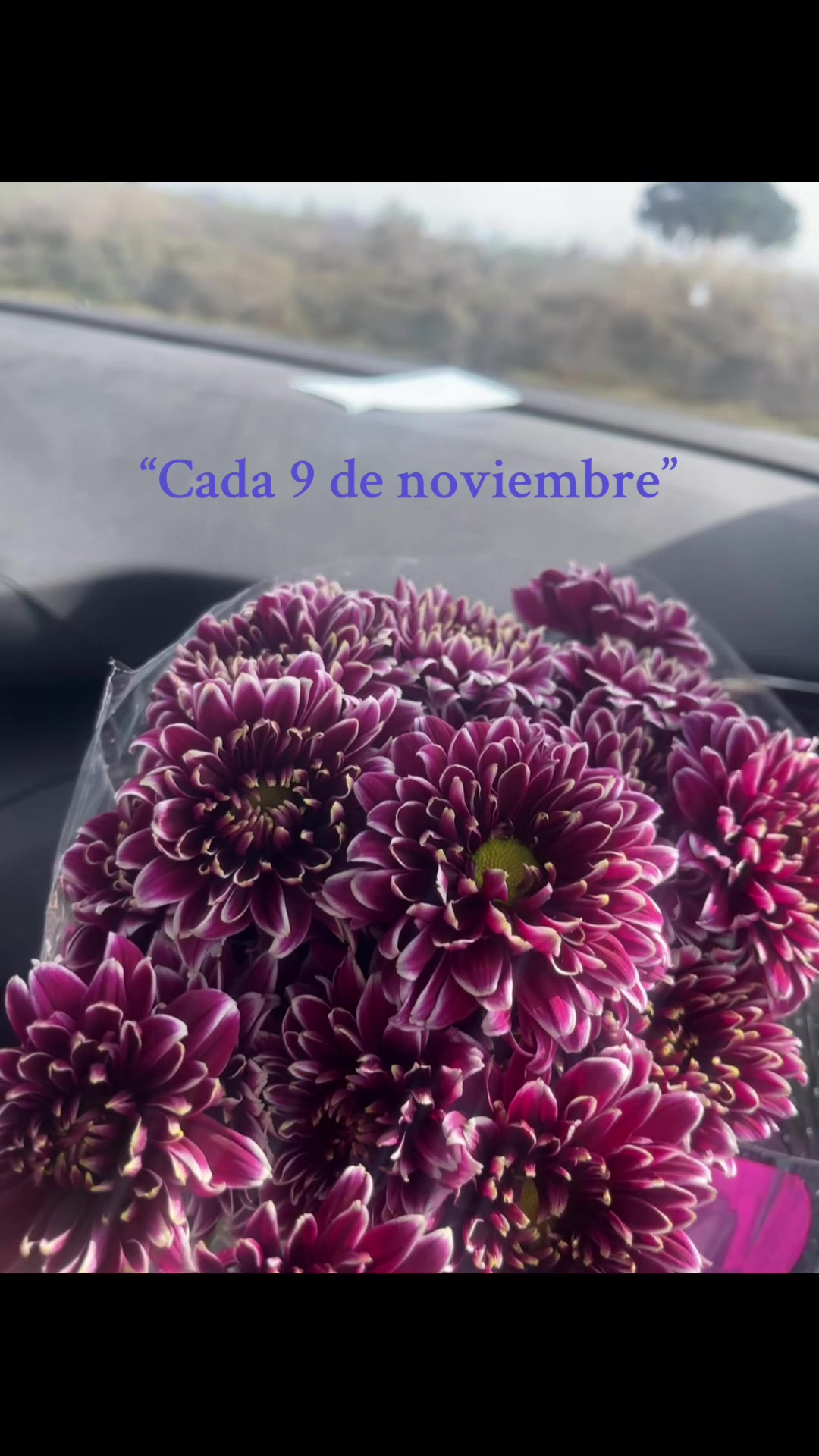 @aleejandraa.rp
