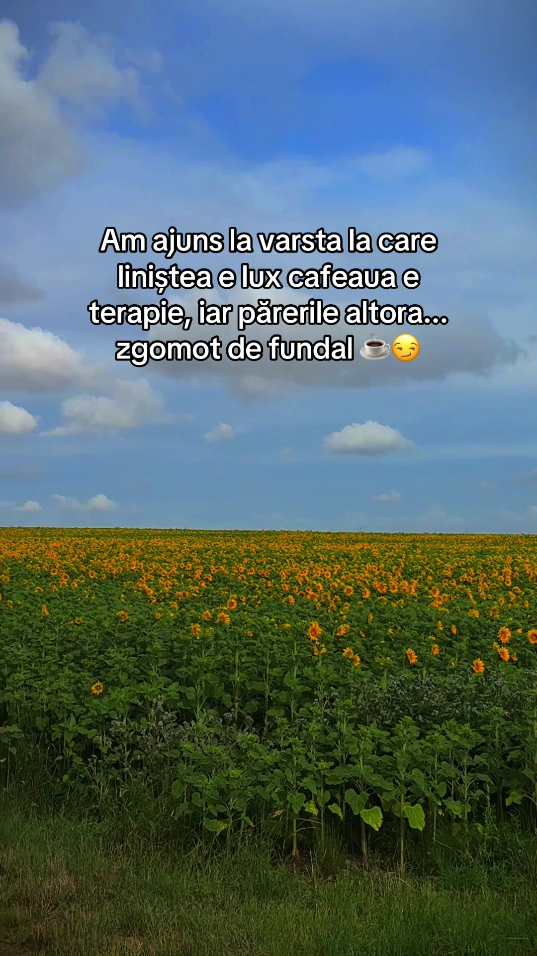 @SubaDaily