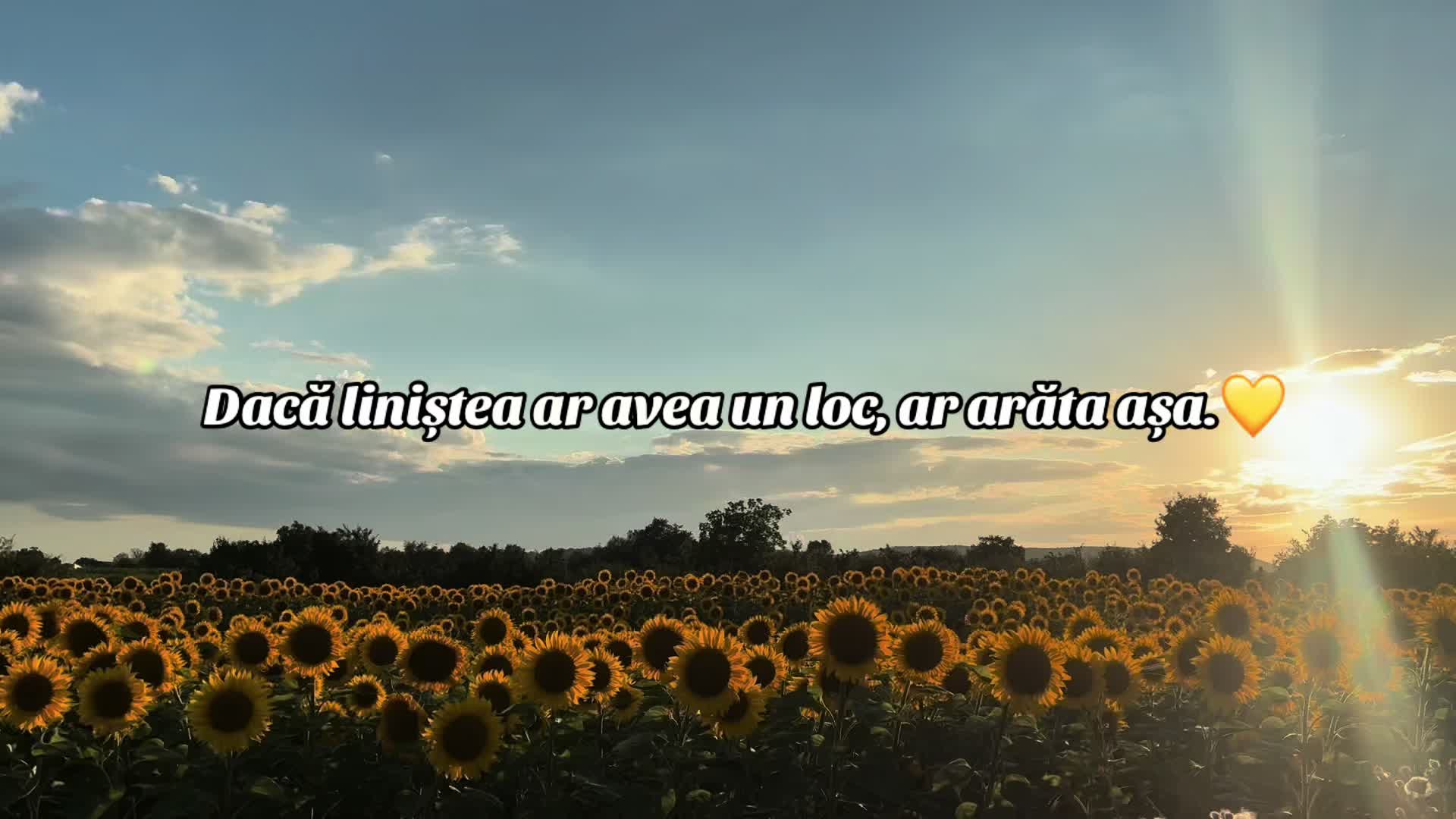 @Buican Elena