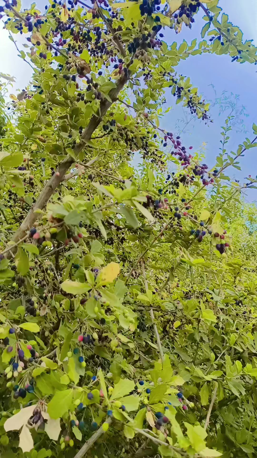 @❣️💞